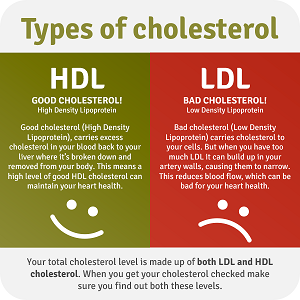 Maintaining your cholesterol for a healthy heart