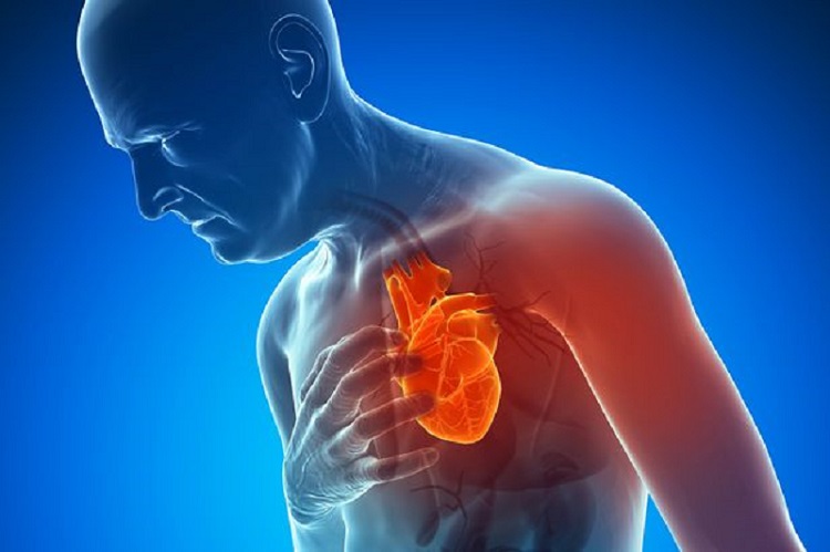 Know more about young heart attacks and death
