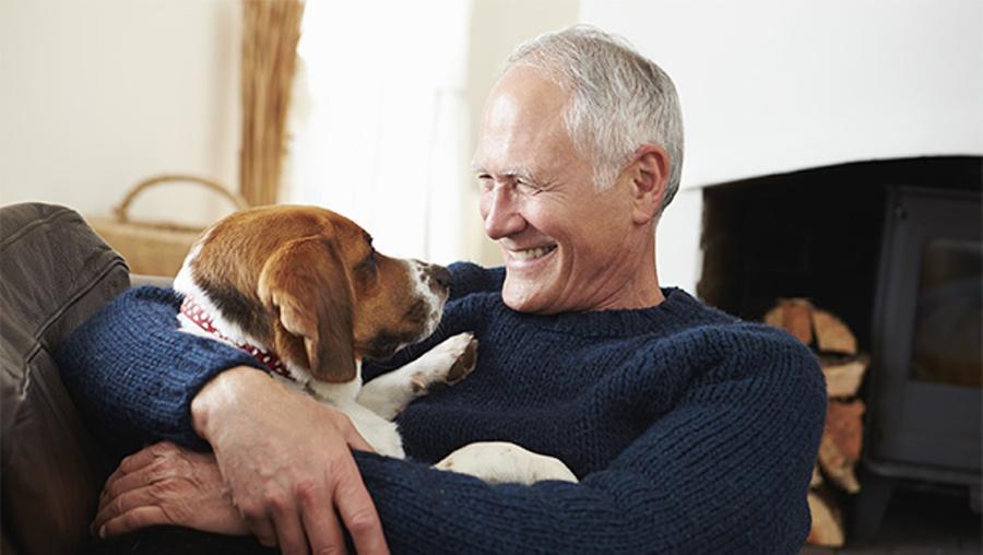 Surprising health benefits of pets.