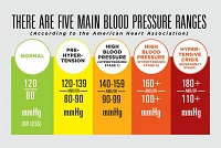 SafeBeat Initiative: Understanding The Highs And Lows Of Your Blood ...