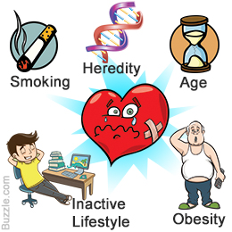 Knowing the Contributing Factors of Heart Disease