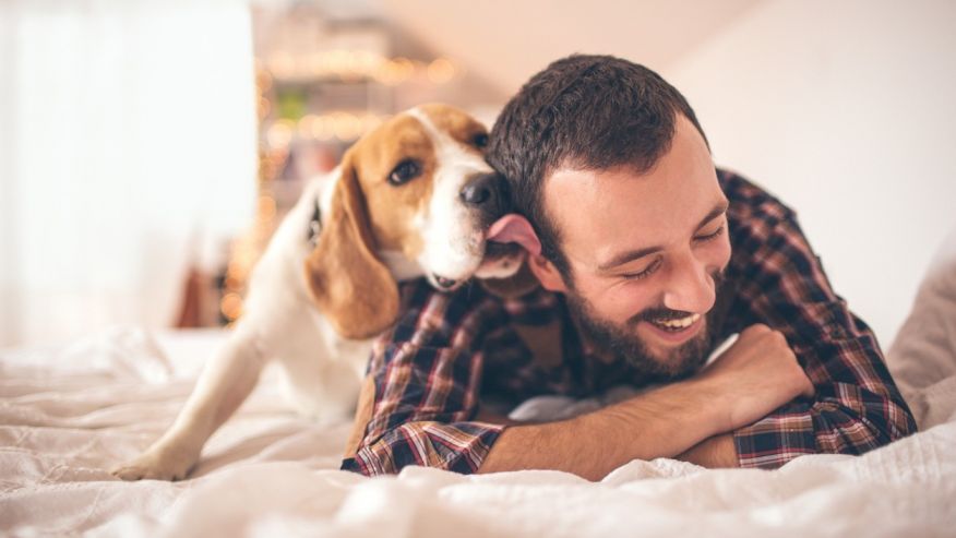 How owning a dog could improve your health