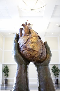 East Carolina Heart Institute aids in the recognition and care of hearts, lungs and blood vessels 